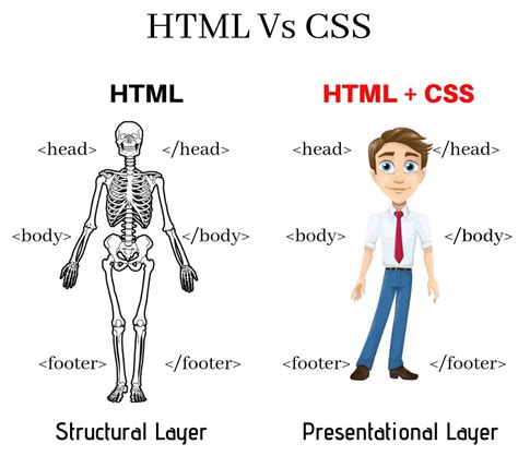 Image result for HTML CSS JavaScript Human Body Analogy