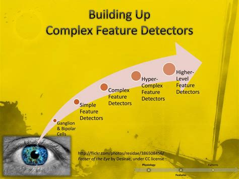Image result for Feature Detectors Examples