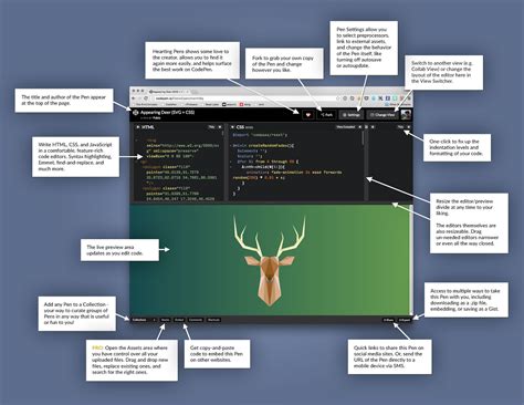 Toradh íomhá ar CodePen Io JavaScript