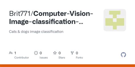 Image result for Computer Vision Classification Example