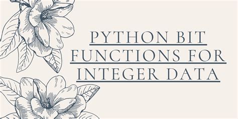 Image result for Int Function Python
