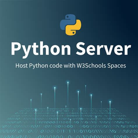 Image result for Python Server Script Example