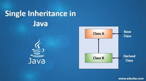 Image result for Implement Inheritance in Java Example