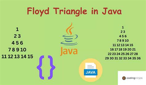 Image result for Triangle Java Code