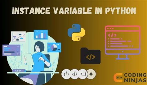 Image result for Instance Variables Python