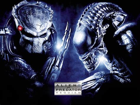 Image result for Alien vs Predator Funny