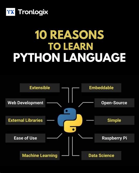 Image result for Python Applications