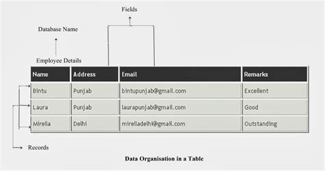 Image result for Database Using Java