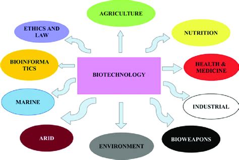 Image result for Biotechnologies Definition