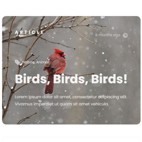 Image result for Article HTML/JavaScript