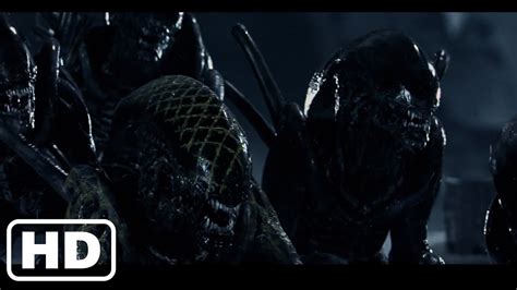 Image result for Alien vs Predator Fight Scenes