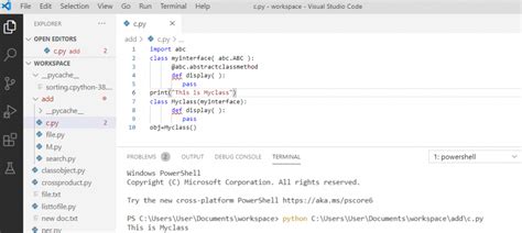 Image result for Python Programming Language Interface