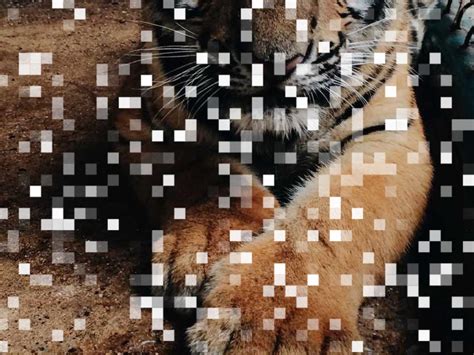 JavaScript Animation Demo에 대한 이미지 결과