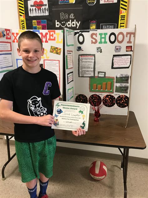 Image result for 8th Grade Science Project Examples