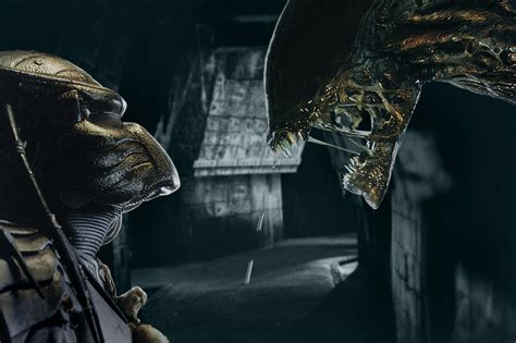 Image result for Alien vs Predator Main Character