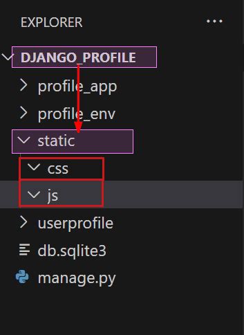 User Profile Display Project Using Python に対する画像結果