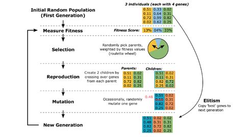 Image result for Genetic Algorithm in Machine Learning