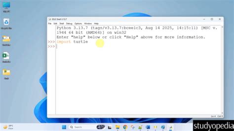 Toradh íomhá ar Install Turtle Python