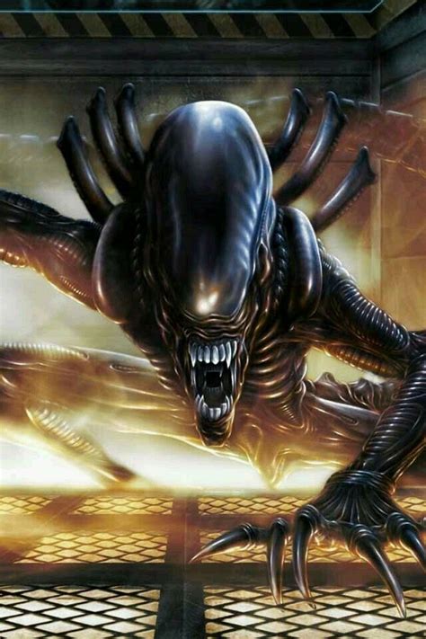 Image result for Alien vs Predator Xenomorph