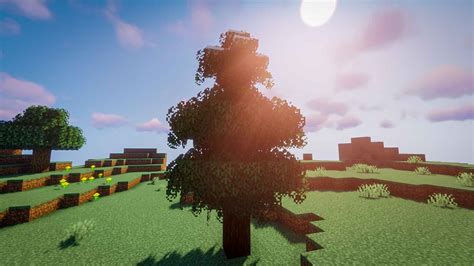 Toradh íomhá ar Minecraft Java Mods