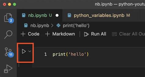 Image result for How to Use Python Code