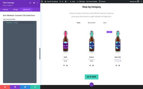 Image result for HTML/JavaScript Divi