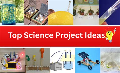 Image result for Best Science Project Models