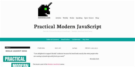Image result for Practical JavaScript Book