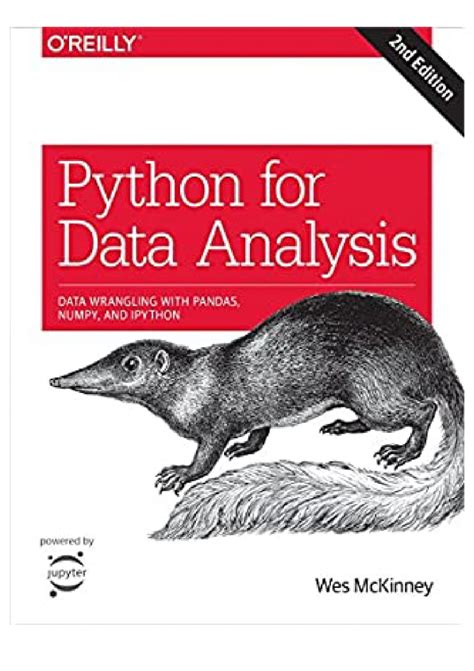Toradh íomhá ar Python for Data Analysis PDF