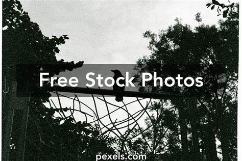 Image result for Bill Gate