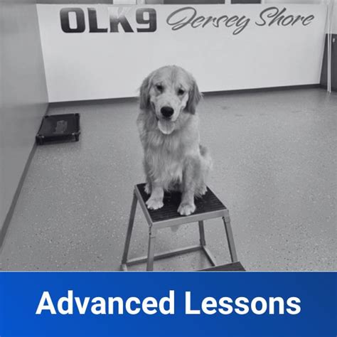 Toradh íomhá ar Advanced Computer Packages Lessons