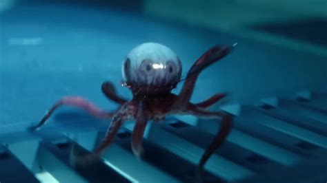 Image result for Alien Eye Monster