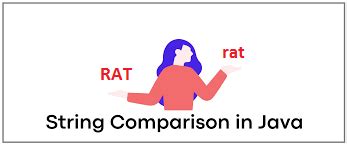 Image result for Boolean String Comparison Java