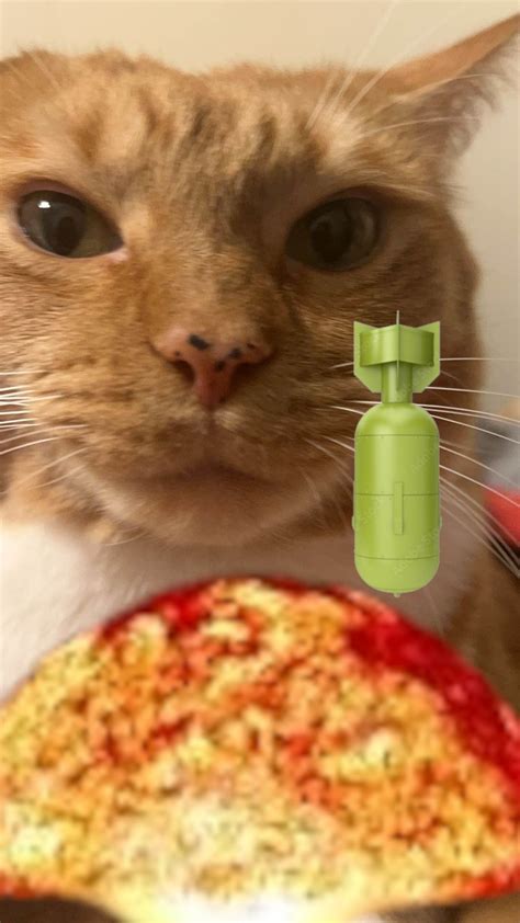 Image result for Alien Meme Sound