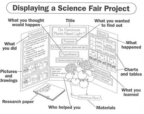 Toradh íomhá ar Science Fair Project Introduction Example