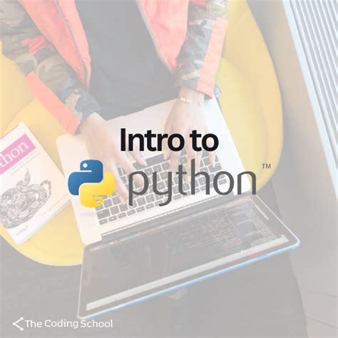 Image result for Tumblr Introductory Python Programming Course