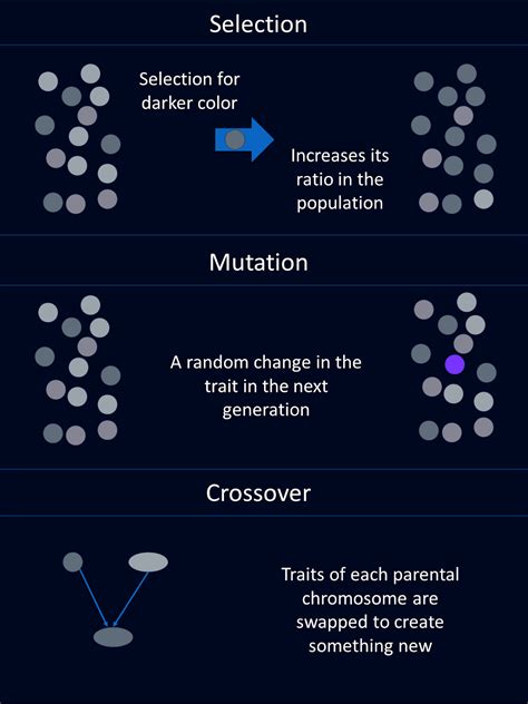 Image result for Genetic Algorithm Python