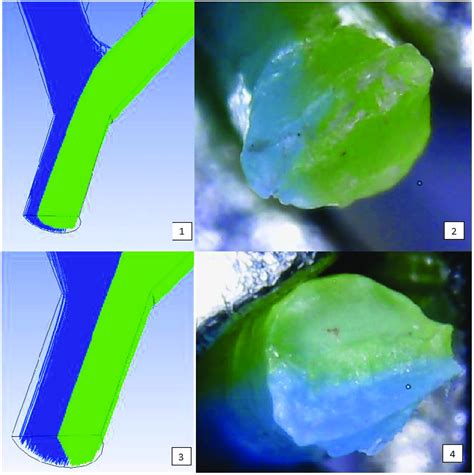 Computer Simulation Real Life Examples に対する画像結果