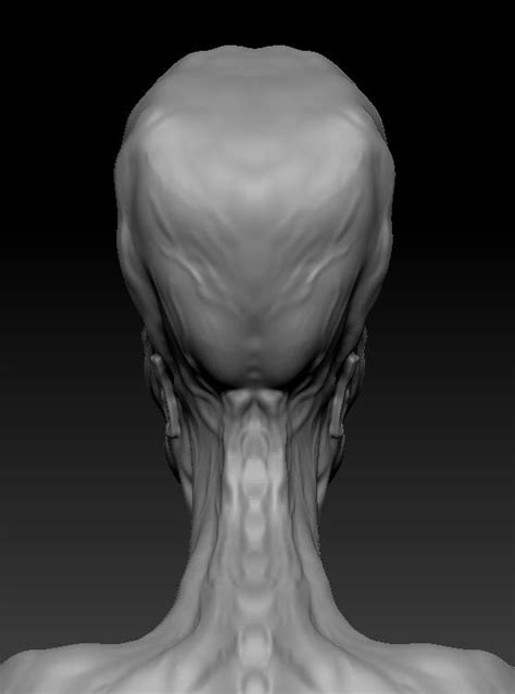 Alien Back Window に対する画像結果