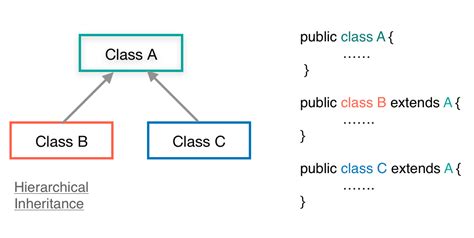 Image result for Java Inheritance Examples