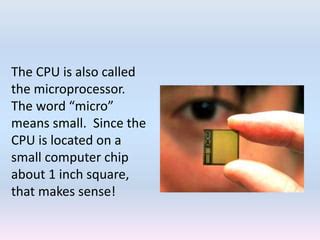 Image result for Computer System Unit Table