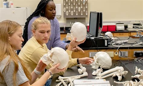 Image result for Exercise Science Degree Programs