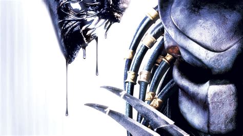 Image result for Alien vs Predator Face Off