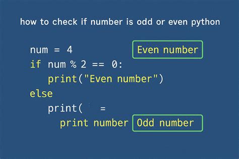 Image result for Python Compiler Code for Even Numbers
