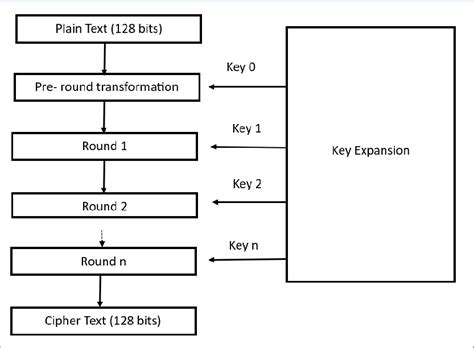 Image result for AES Algorithm Input Array
