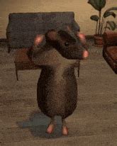 Image result for Dancing Rat Meme