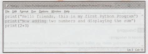 Image result for Python Script Mode