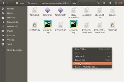 Image result for Does PyCharm Automatically Install Python On Linux