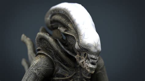 Image result for Alien Xenomorph Model