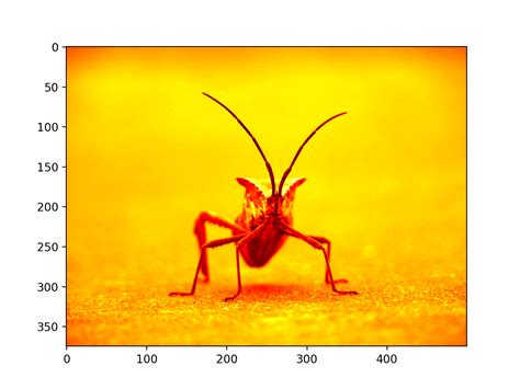 Image result for Image Processing Using Matplotlib
